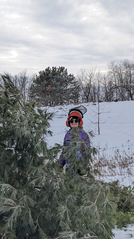 gird trees for native prairie