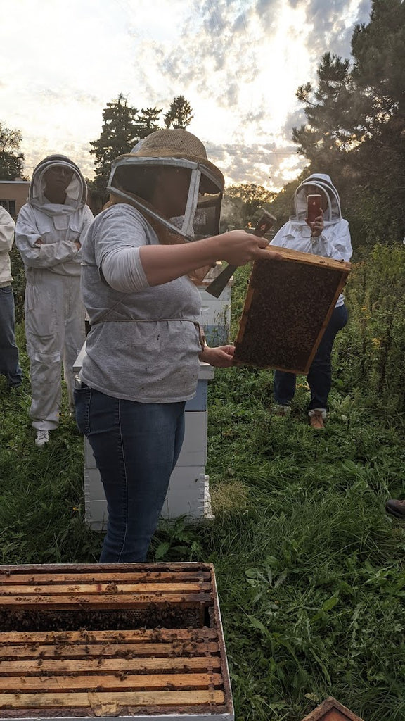 Beekeeper with frame of bees